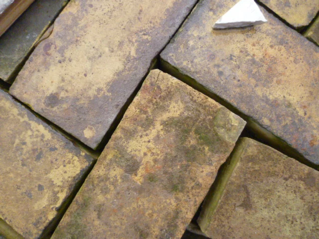 Close-up of weathered bricks with mossy patches and gaps between stones.