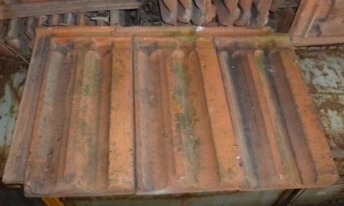 Row of weathered terracotta roof tiles laid in a row on a wooden frame, with mossy green patches and rust-like staining.