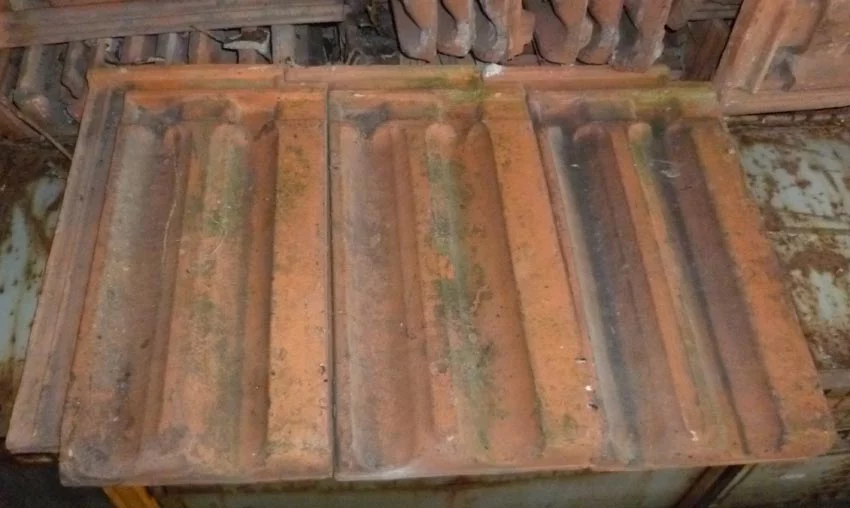 Row of weathered terracotta roof tiles laid in a row on a wooden frame, with mossy green patches and rust-like staining.