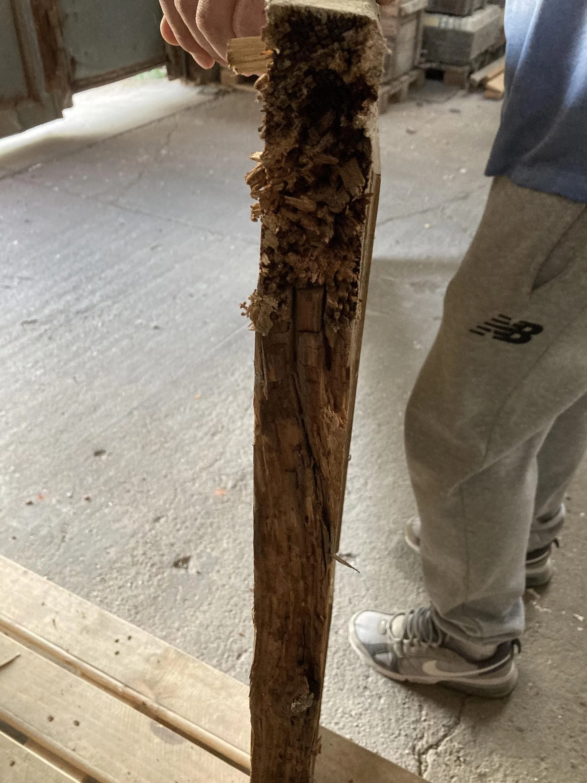 Zimmertür Nr. 420 Gründerzeit mit 6 Kassetten – Bild 4