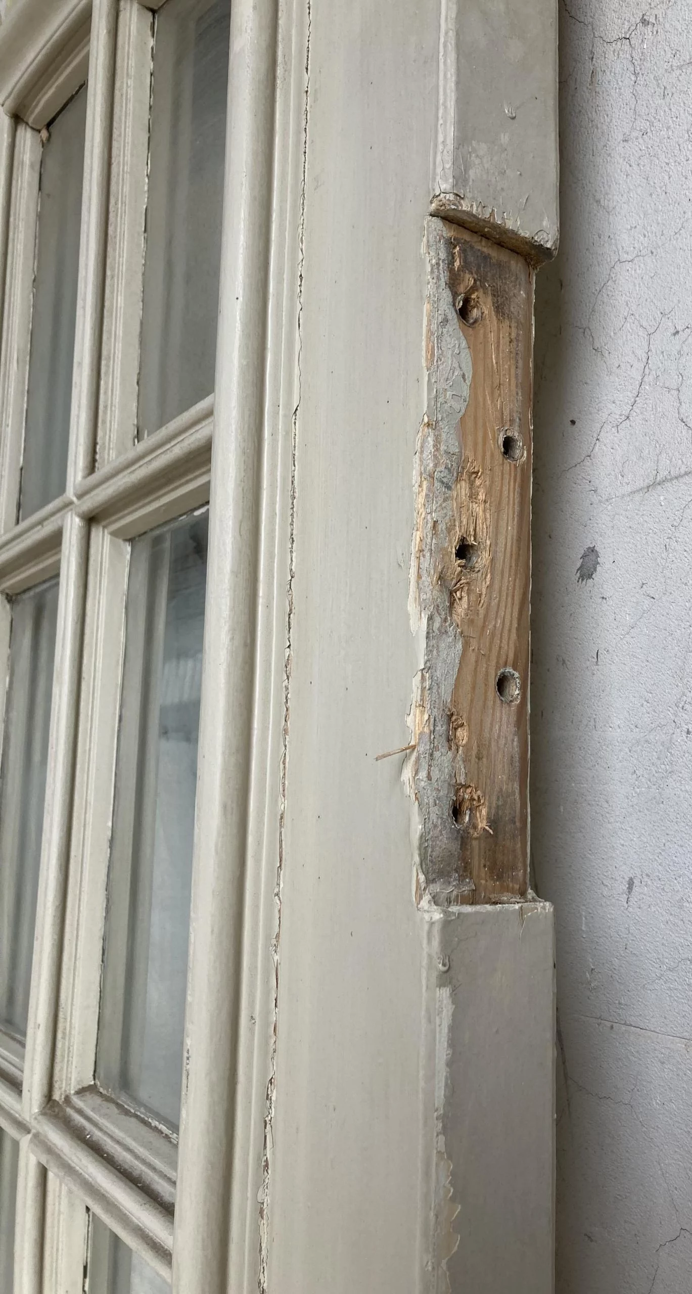 Zweiflügelige Zimmertür, Pendeltür Nr. 507 Jugendstil – Bild 5