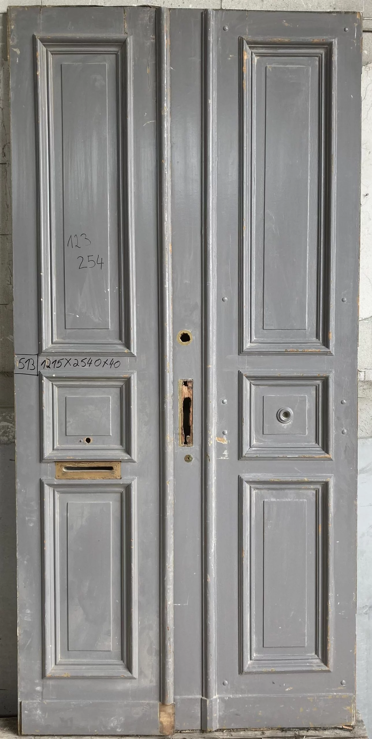 Wohneingangtür Doppelflügel Nr. 513 Gründerzeit